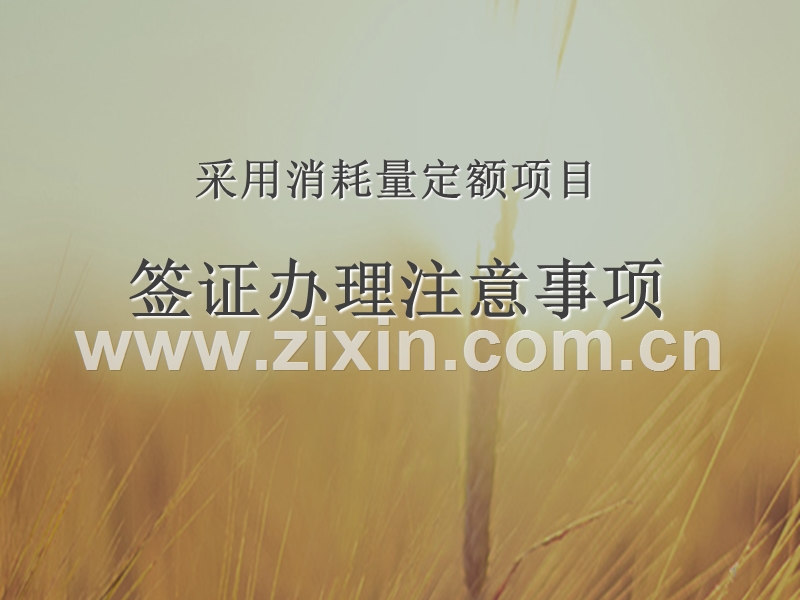 采用消耗量定额项目签证办理注意事项.ppt_第1页