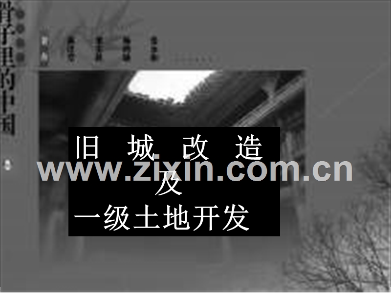 世联旧城改造及一级土地开发.ppt_第1页