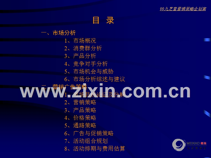 神箭牌驴胶补血冲剂营销策略企划案.ppt_第2页