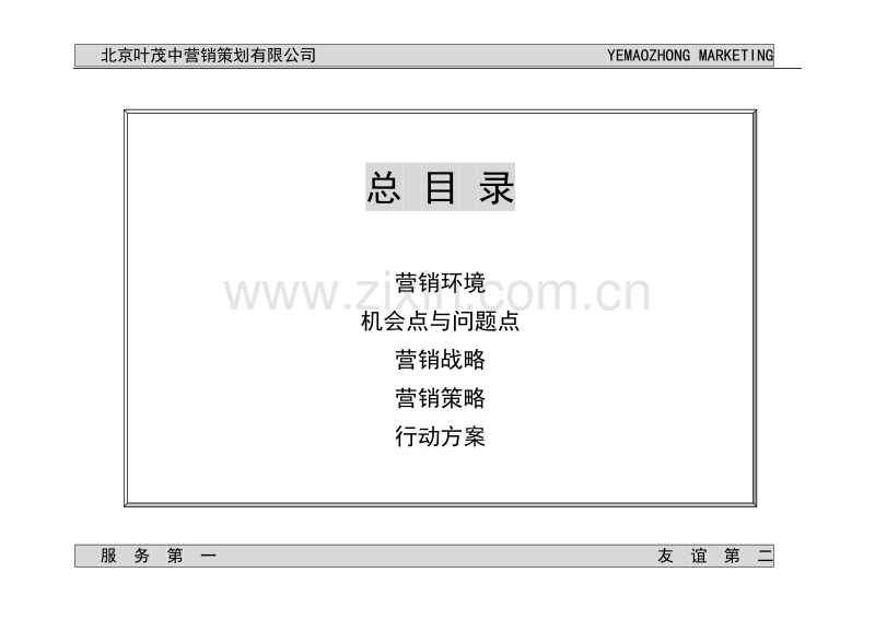 小医生消斑斑整合营销传播策划.doc_第2页
