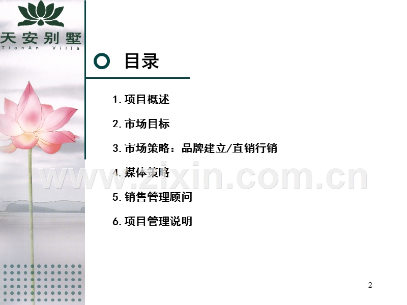 天安别墅整合营销策划方案.ppt_第2页