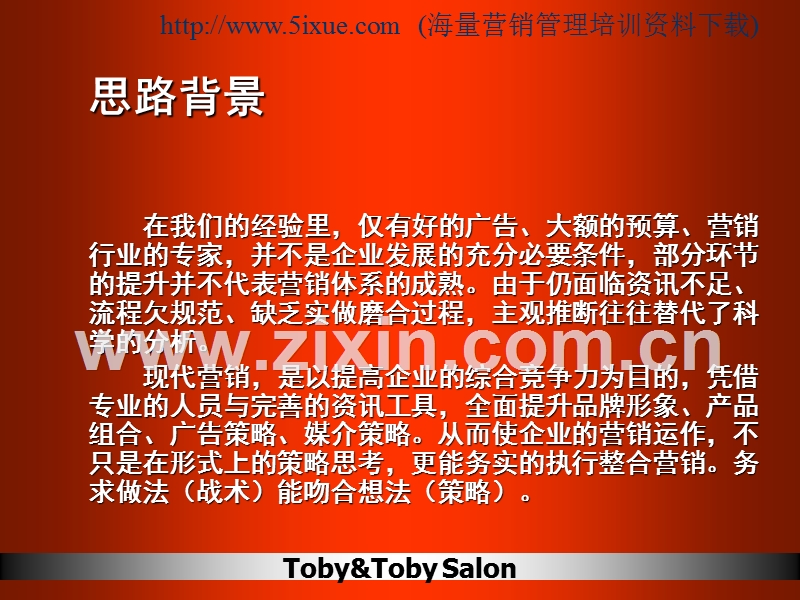 专业广告运作模式.PPT_第2页