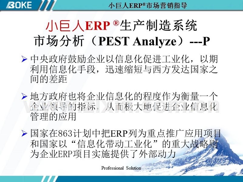 小巨人市场营销指导.PPT_第1页