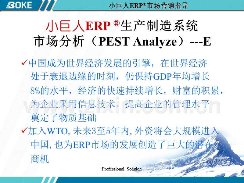 小巨人市场营销指导.PPT_第2页