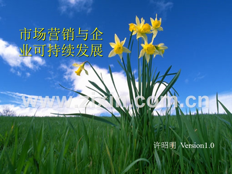 市场营销与企业可持续发展.PPT_第1页