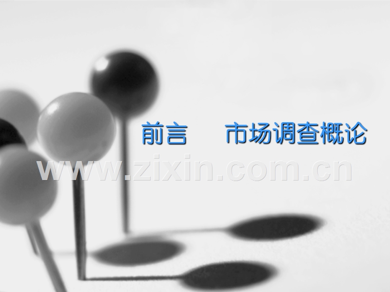 市场调研与市场分析.PPT_第2页