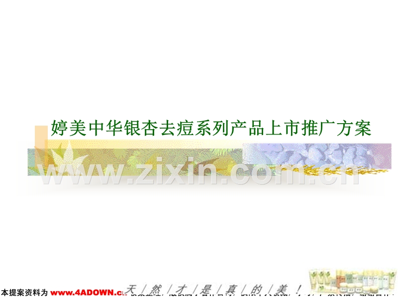 婷美中华银杏去痘系列产品上市推广方案.ppt_第1页