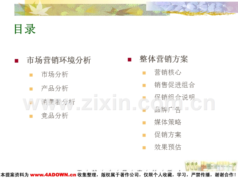 婷美中华银杏去痘系列产品上市推广方案.ppt_第2页