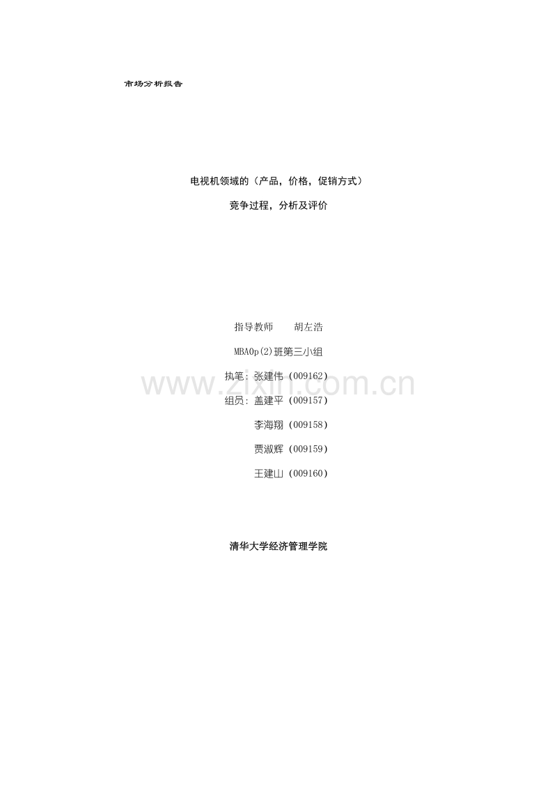 市场分析报告.DOC_第1页