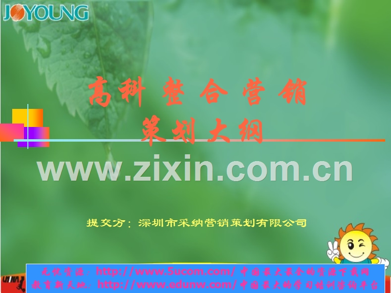 高科整合营销策划大纲.PPT_第1页