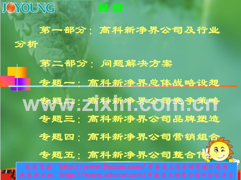 高科整合营销策划大纲.PPT_第2页