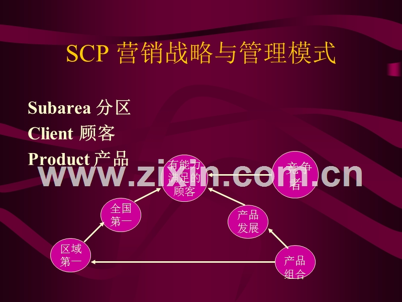 营销战略与管理模式.PPT_第2页
