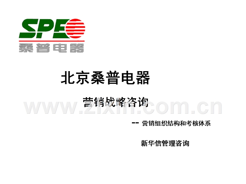 新华信桑普电器营销战略.PPT_第1页