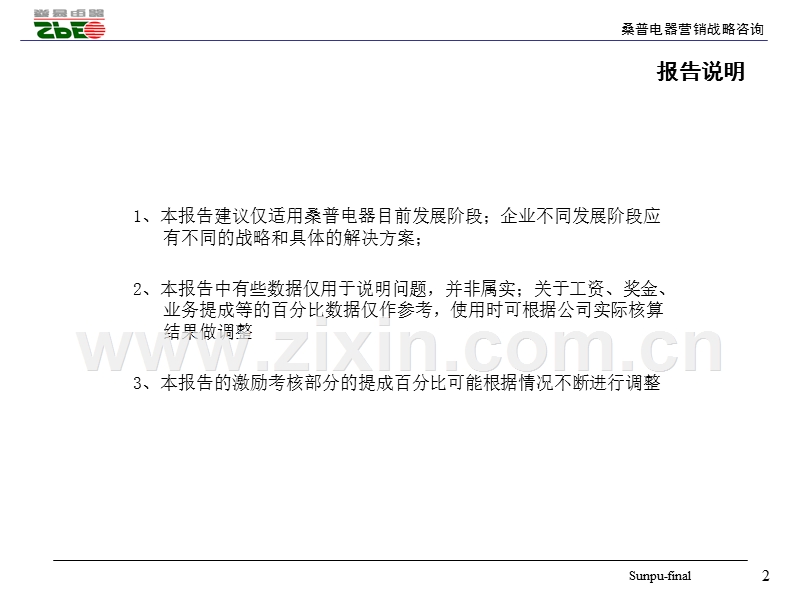 新华信桑普电器营销战略.PPT_第2页