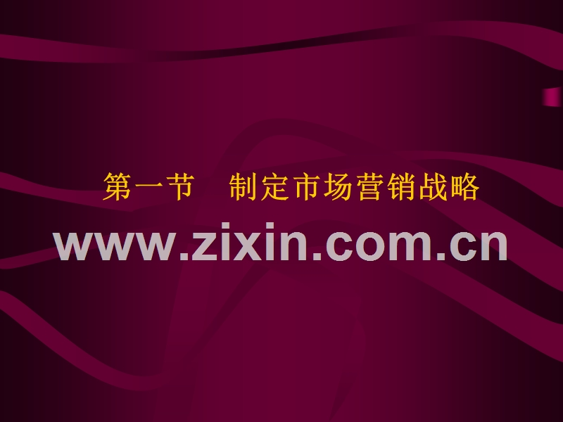 营销战略制定和营销计划.ppt_第2页