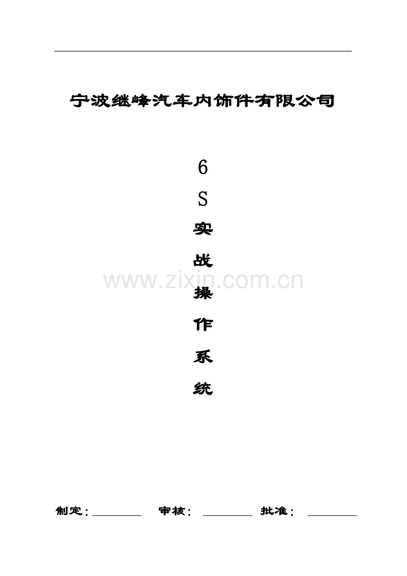 宁波XX汽车内饰件有限公司6S实战操作系统.doc_第1页