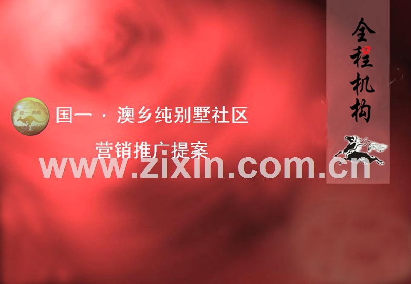 国一澳乡纯别墅社区营销推广策略.ppt_第1页