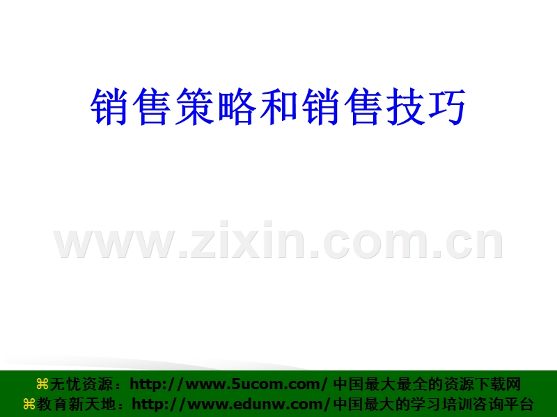 销售策略与技巧.PPT_第1页