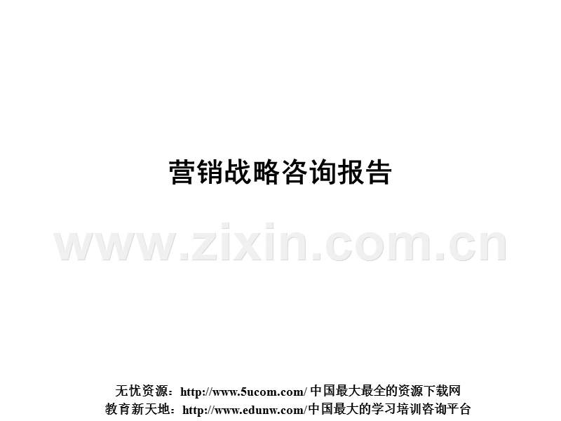 营销战略咨询报告.PPT_第1页