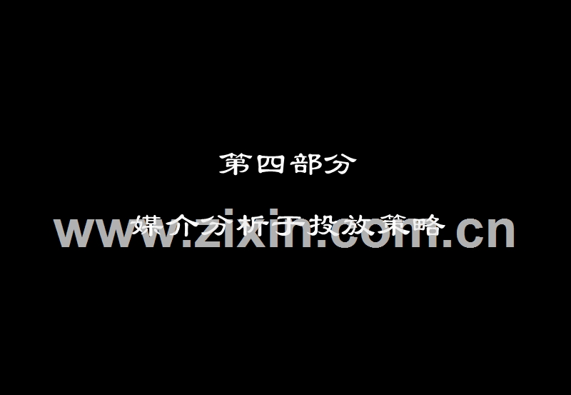 媒介分析与投放策略.PPT_第1页