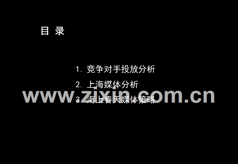 媒介分析与投放策略.PPT_第2页