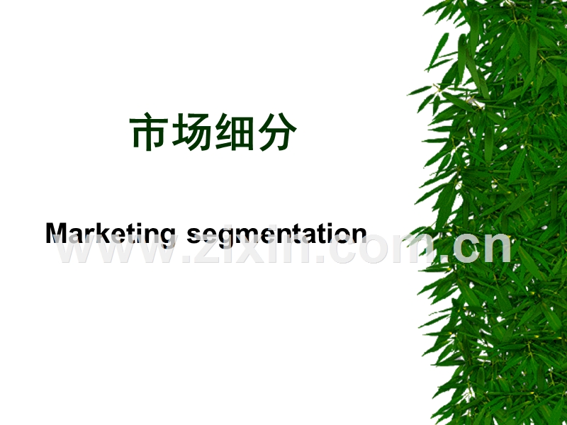 市场细分.PPT_第1页