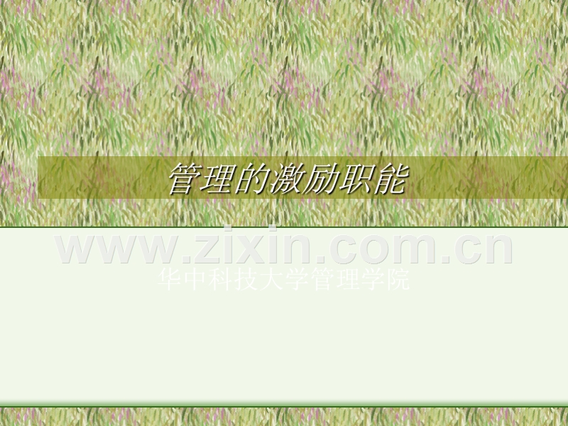 管理的激励职能.ppt_第1页