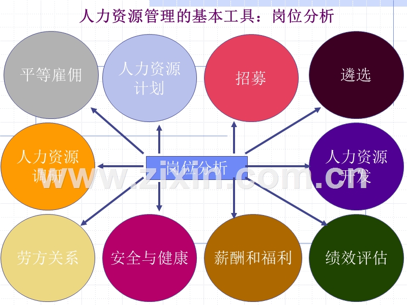 工作岗位分析.ppt_第2页