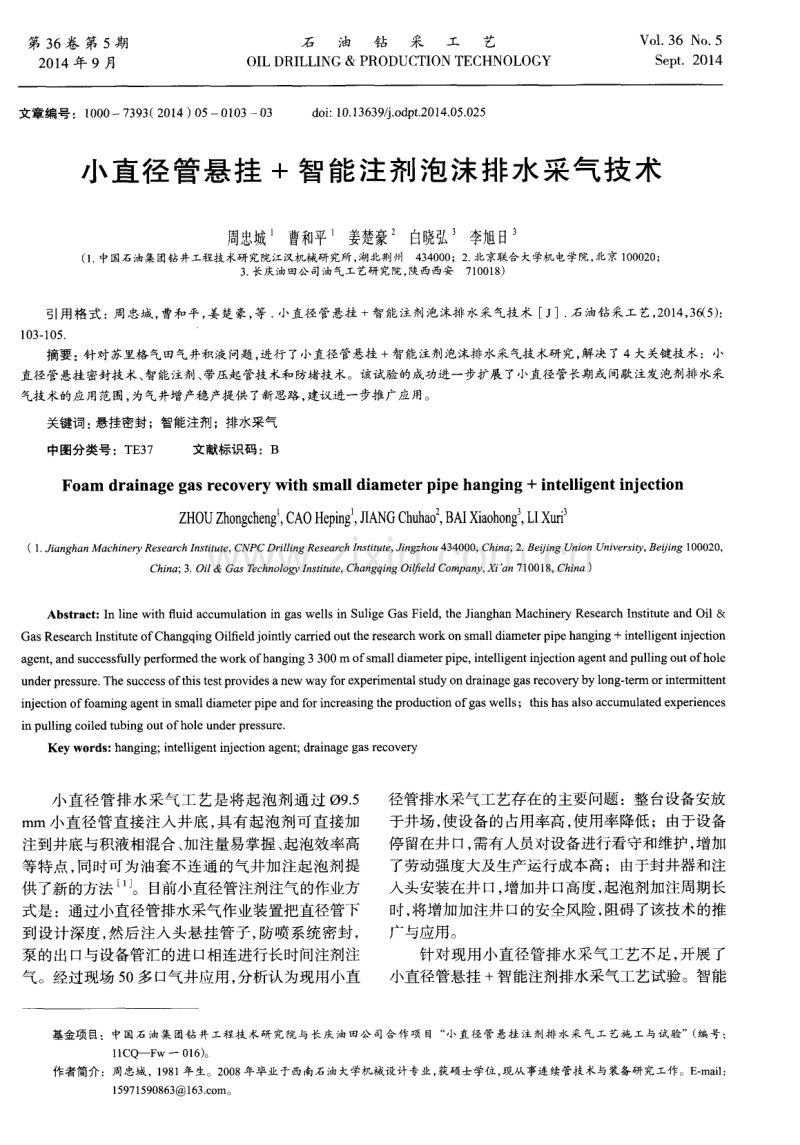 小直径管悬挂＋智能注剂泡沫排水采气技术.pdf_第1页