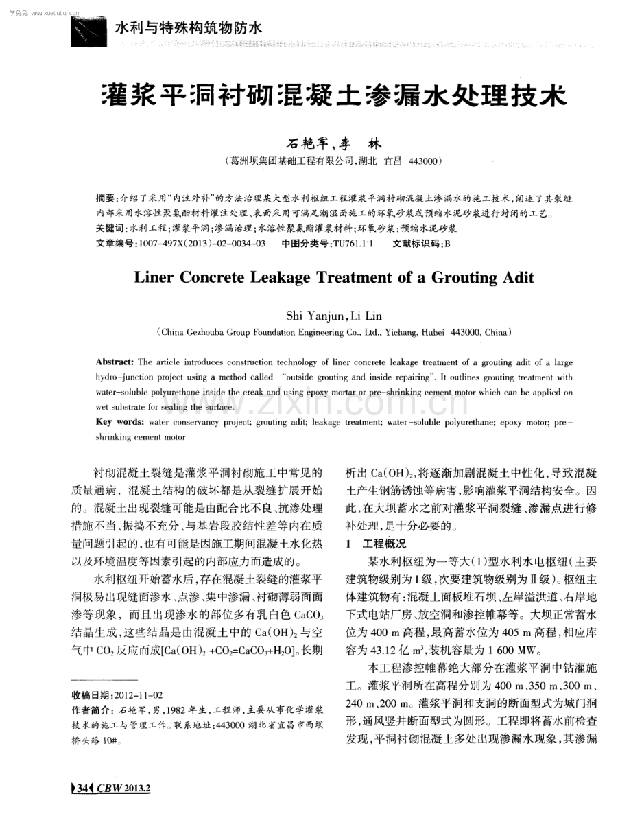 灌浆平洞衬砌混凝土渗漏水处理技术.pdf_第1页