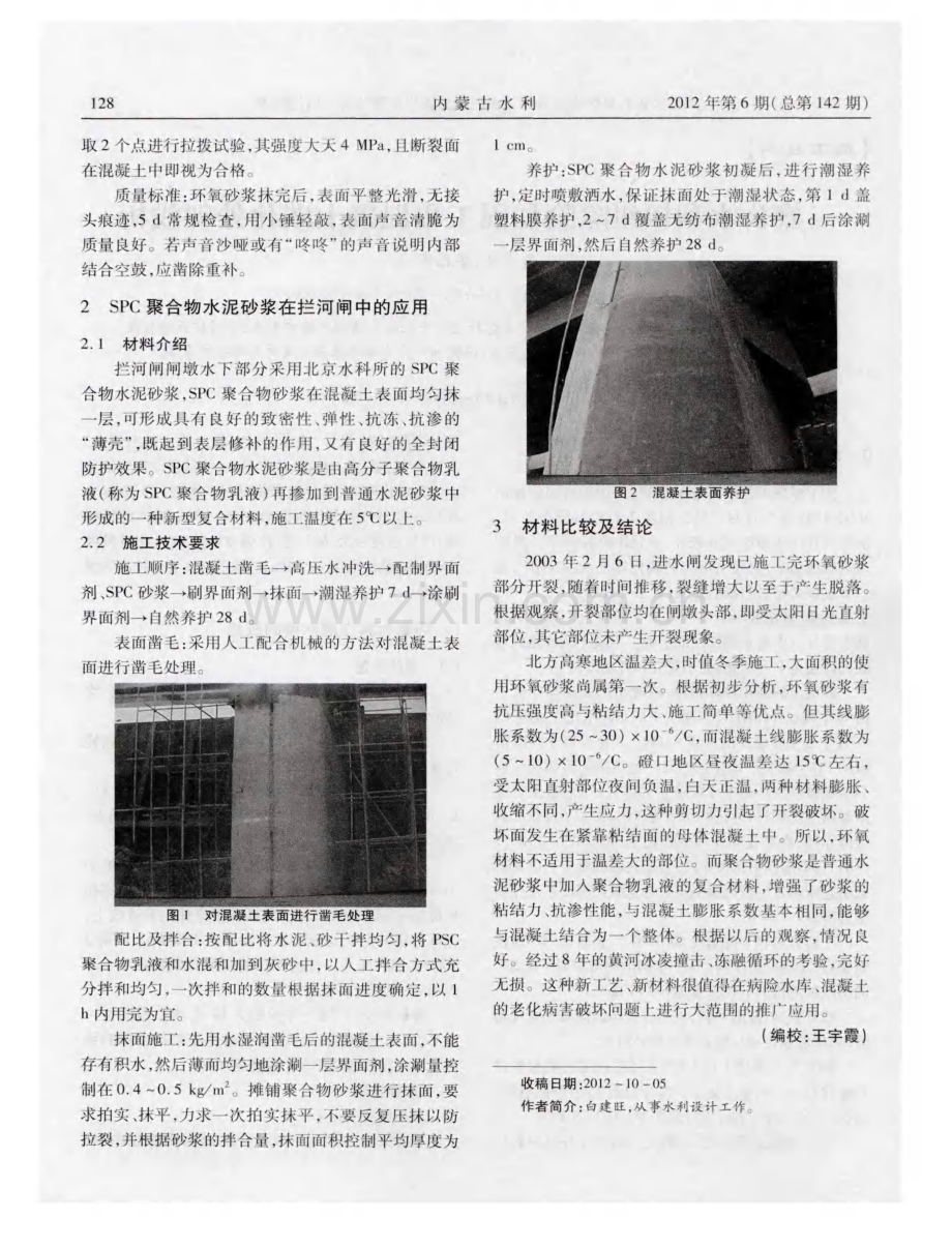 三盛公水利枢纽除险加固工程混凝土碳化处理浅析.pdf_第2页