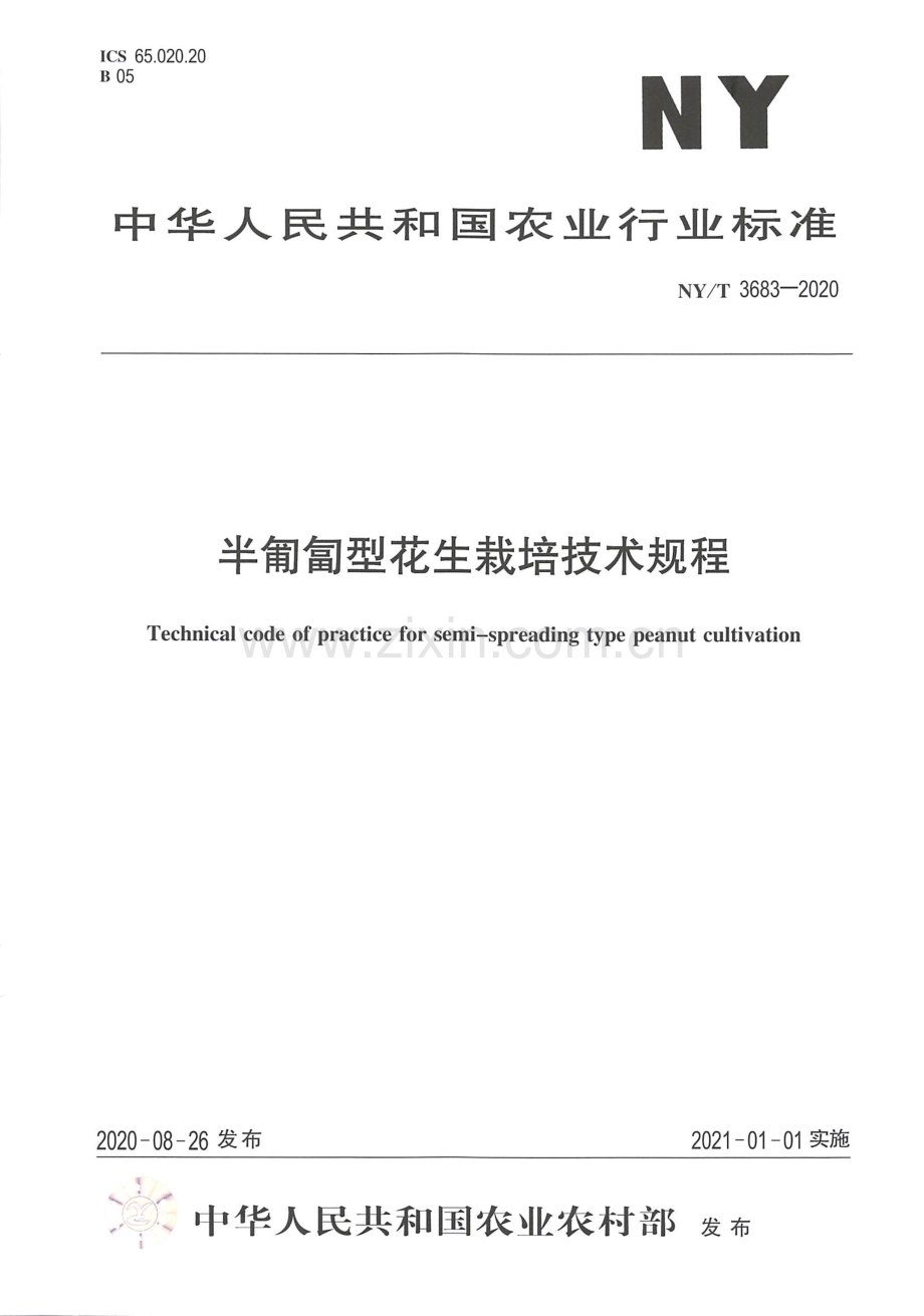 NY∕T 3683-2020 半匍匐型花生栽培技术规程.pdf_第1页