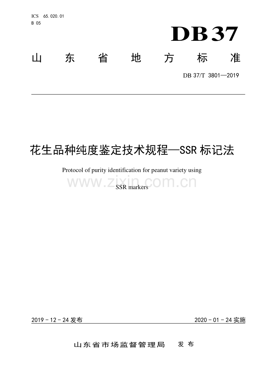 DB37∕T 3801-2019 花生品种纯度鉴定技术规程—SSR标记法(山东省).pdf_第1页