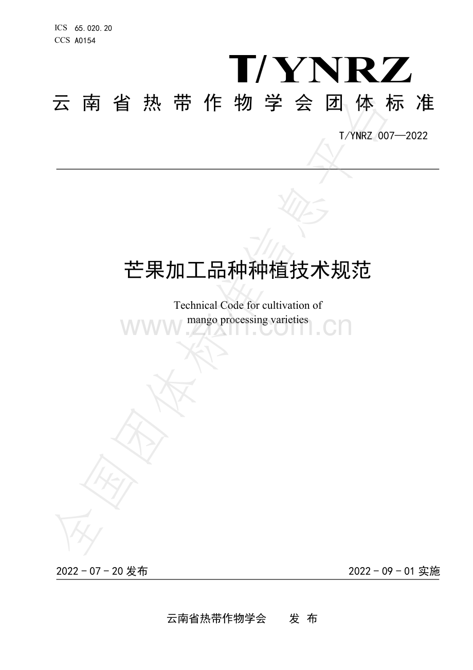 T∕YNRZ 007-2022 芒果加工品种种植技术规范.pdf_第1页