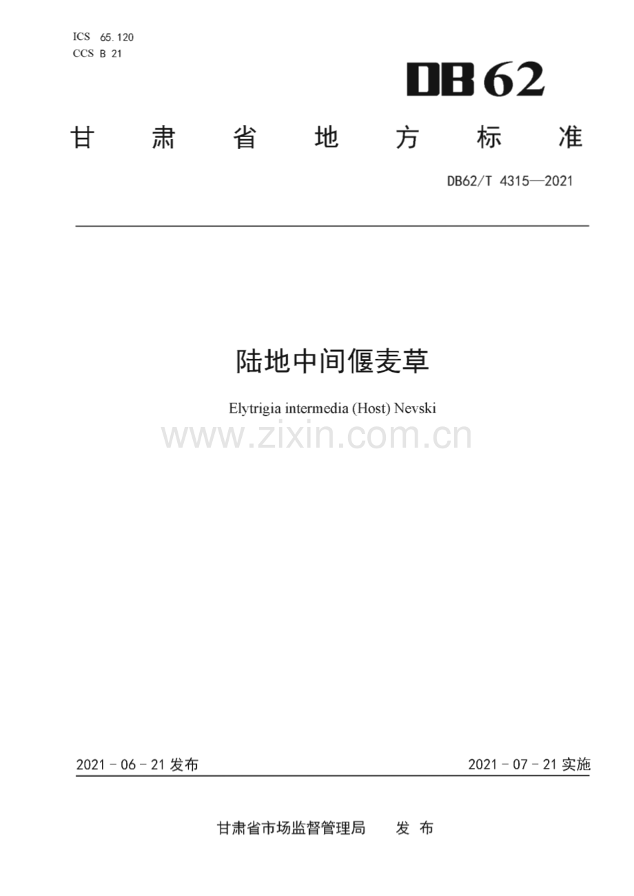 DB62∕T 4315-2021 陆地中间偃麦草(甘肃省).pdf_第1页