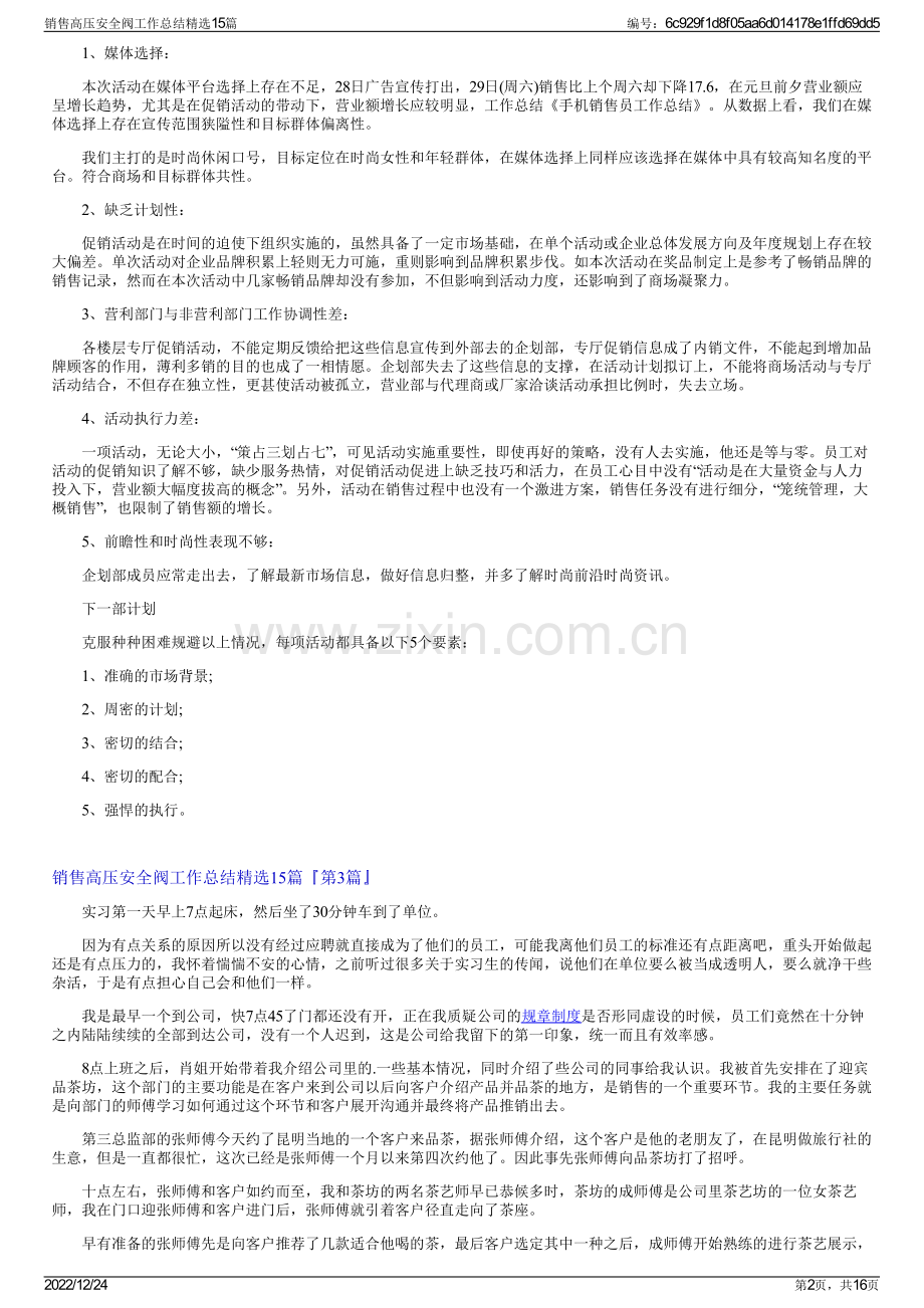 销售高压安全阀工作总结15篇.pdf_第2页