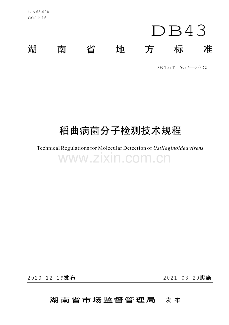 DB43∕T 1957-2020 稻曲病菌分子检测技术规程(湖南省).pdf_第1页