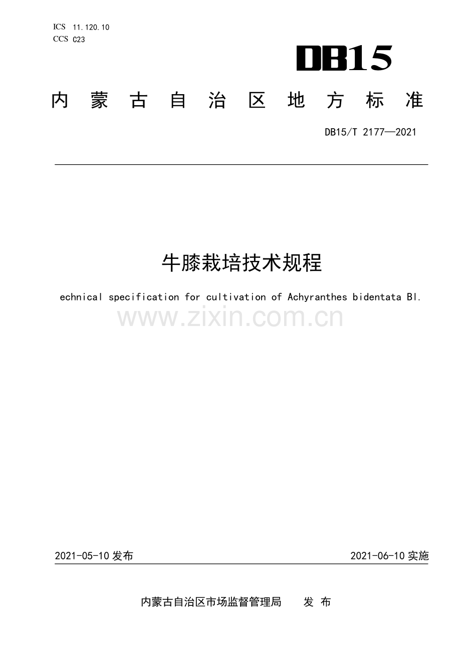 DB15∕T 2177—2021 牛膝栽培技术规程(内蒙古自治区).pdf_第1页