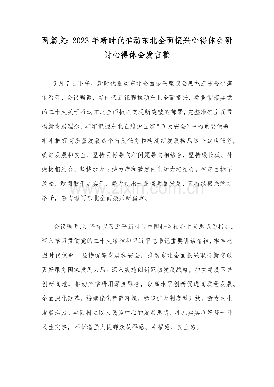 两篇文：2023年新时代推动东北全面振兴心得体会研讨心得体会发言稿.docx_第1页