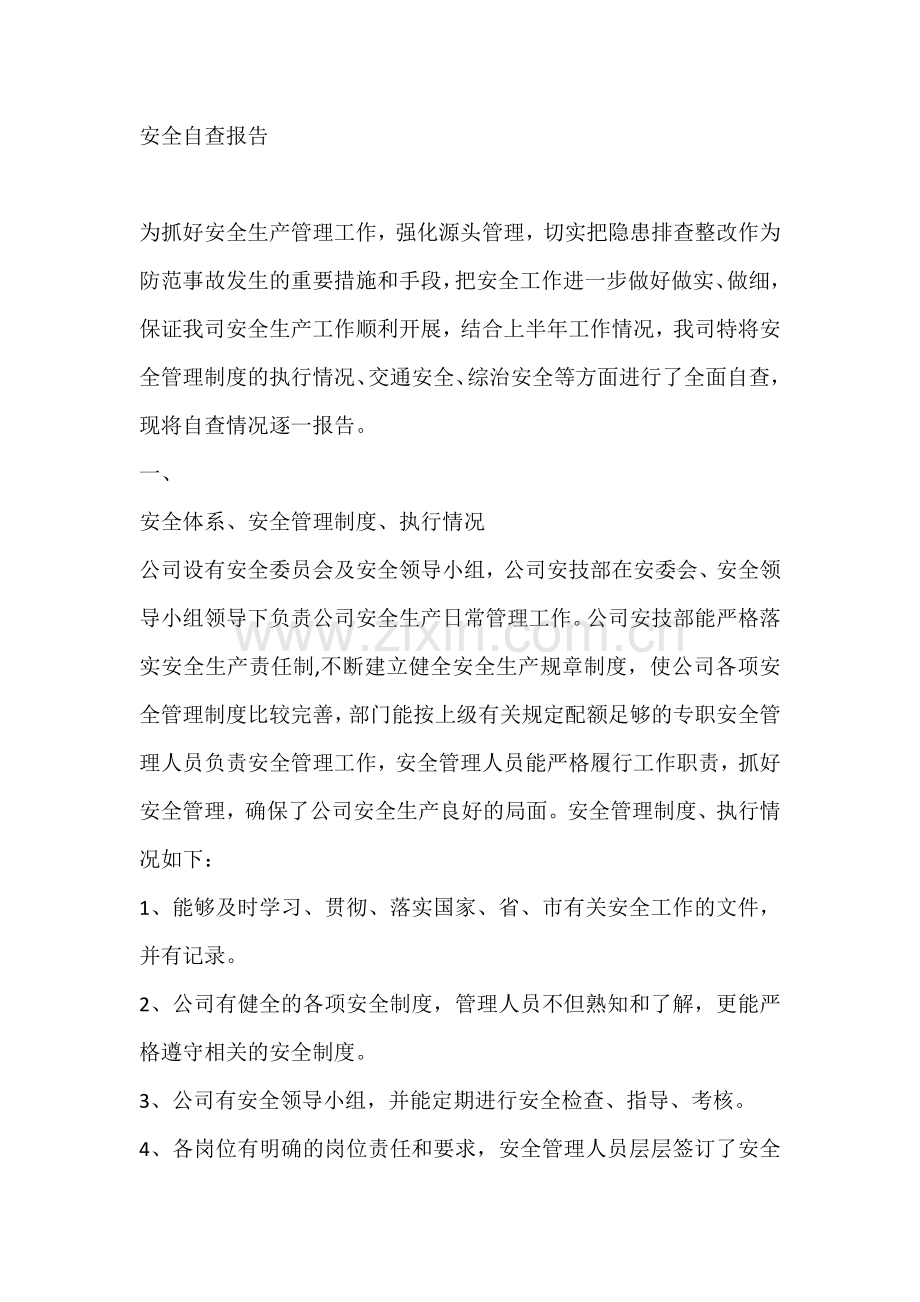 安全自查报告.docx_第1页