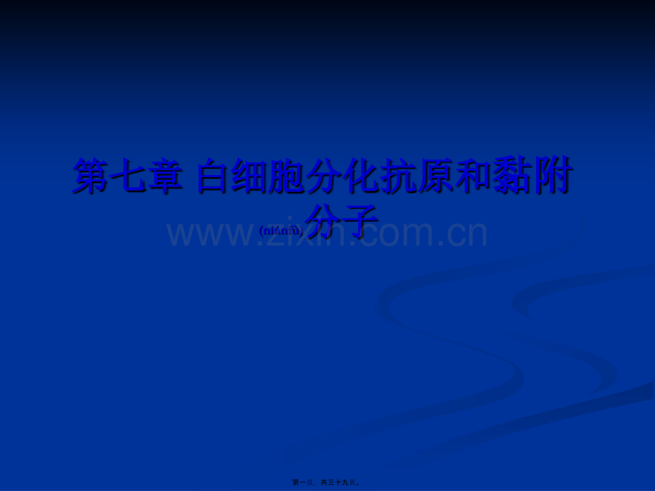 白细胞分化抗原与黏附因子.ppt_第1页