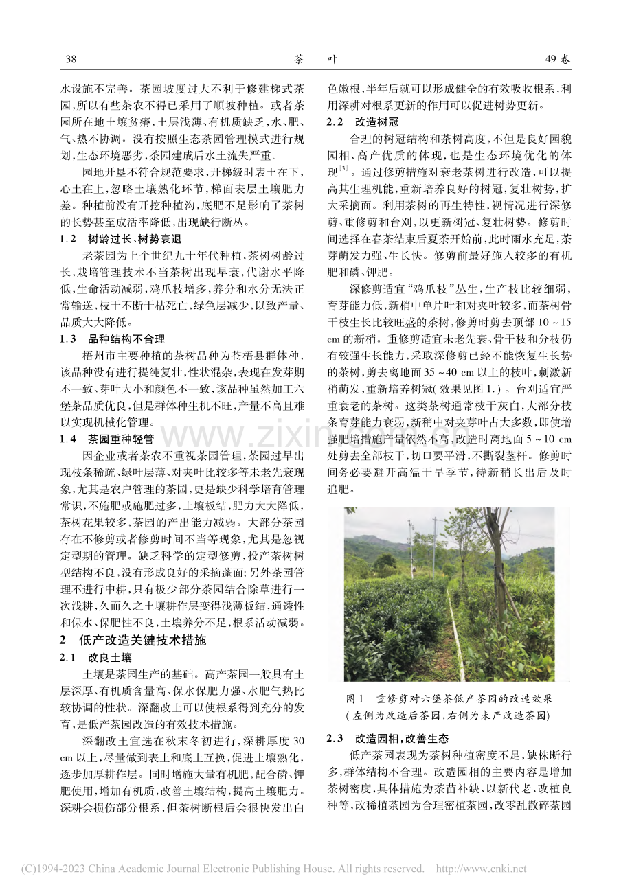梧州市六堡茶茶园低产成因及改造措施_于翠平.pdf_第2页