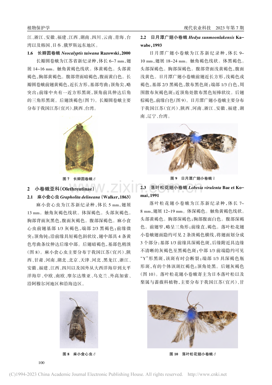 宜兴市卷蛾科昆虫种类调查_王美玲.pdf_第3页