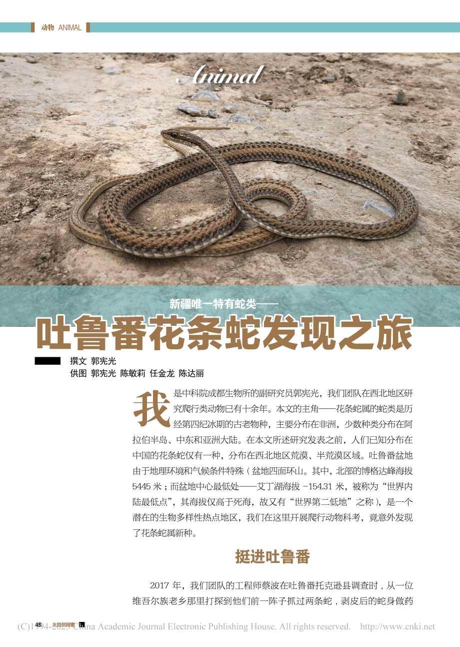 吐鲁番花条蛇发现之旅_郭宪光.pdf_第1页