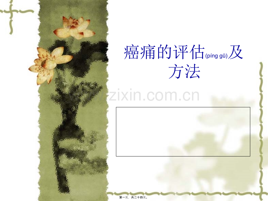癌痛的评估及方法--.ppt_第1页