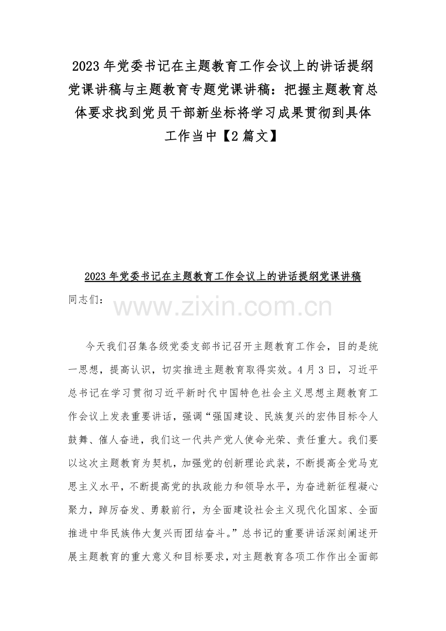 2023年党委书记在主题教育工作会议上的讲话提纲党课讲稿与主题教育专题党课讲稿：把握主题教育总体要求找到党员干部新坐标将学习成果贯彻到具体工作当中【2篇文】.docx_第1页