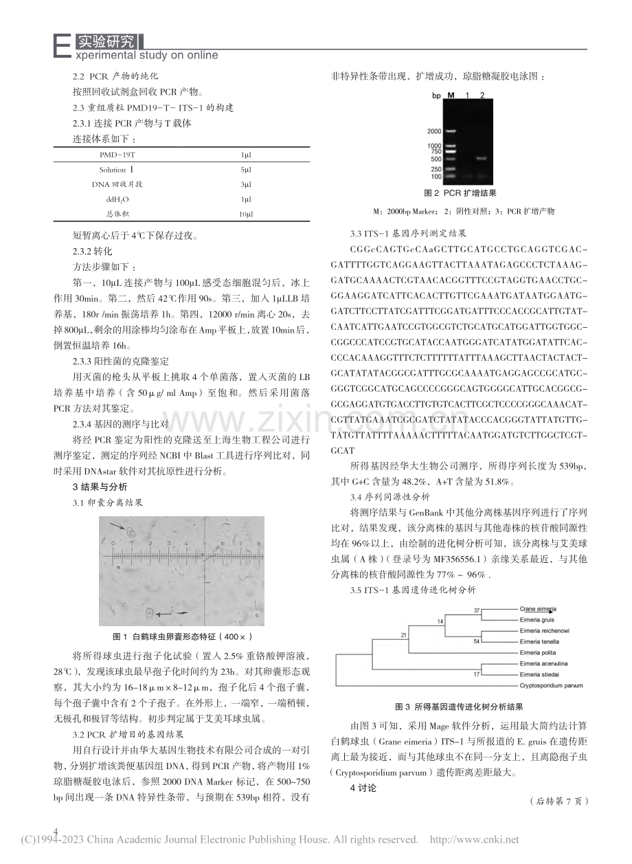 源于白鹤球虫新种分子鉴定_王艳.pdf_第2页