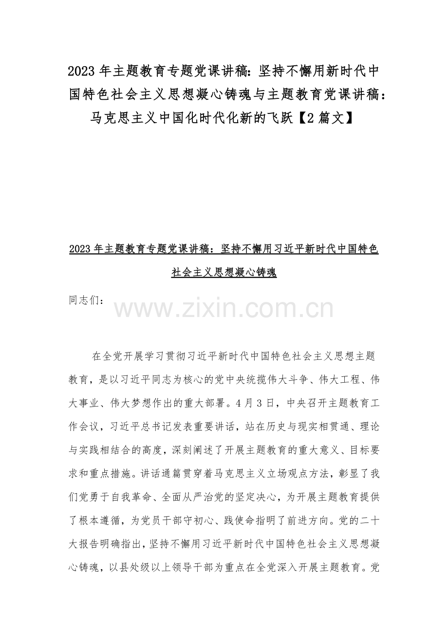 2023年主题教育专题党课讲稿：坚持不懈用新时代中国特色社会主义思想凝心铸魂与主题教育党课讲稿：马克思主义中国化时代化新的飞跃【2篇文】.docx_第1页
