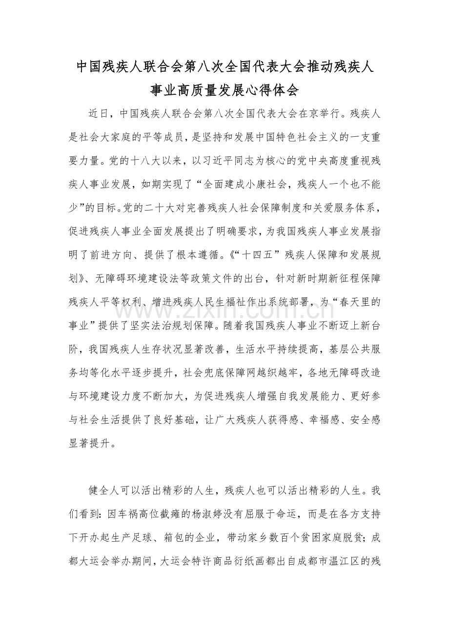 2023年中国残疾人联合会第八次全国代表大会推动残疾人事业高质量发展心得体会8篇+改革方案【供参考】.docx_第2页