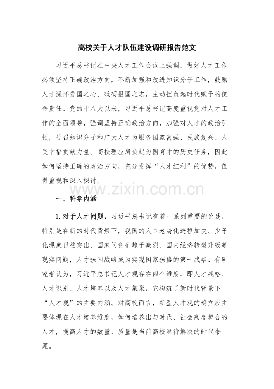 高校关于人才队伍建设调研报告范文.docx_第1页